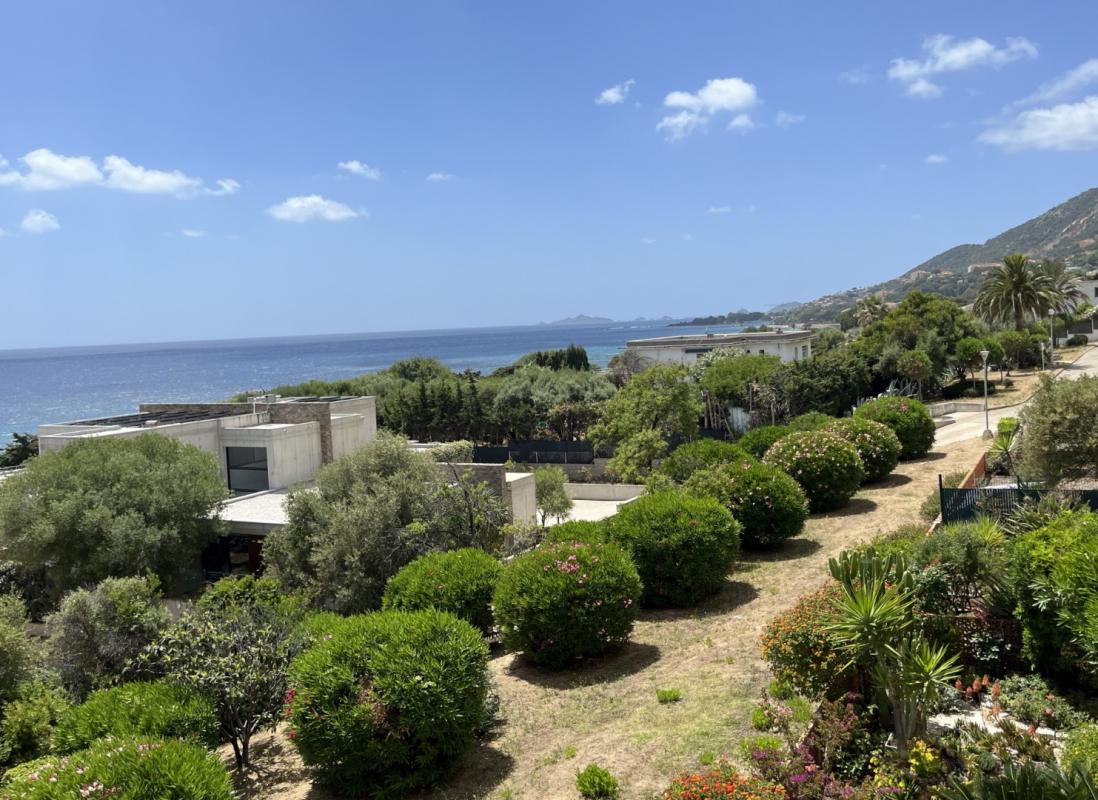 F4 RESIDENCE PASCI PECORA CAMELIA ROUTE DES SANGUINAIRES AJACCIO