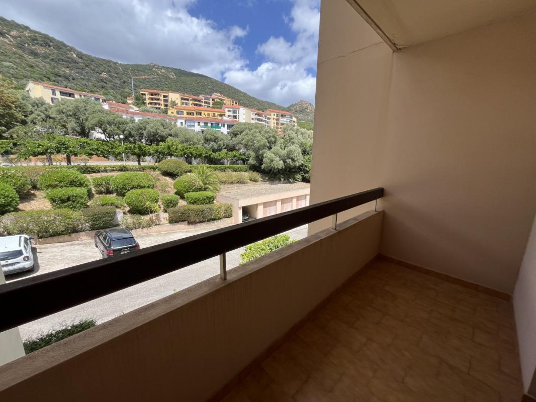 F4 RESIDENCE PASCI PECORA CAMELIA ROUTE DES SANGUINAIRES AJACCIO