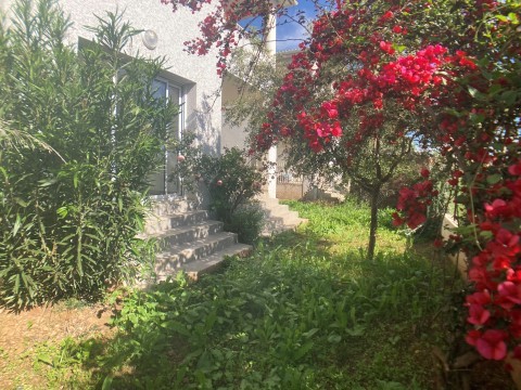 Location appartement à Sorbo ocagnano