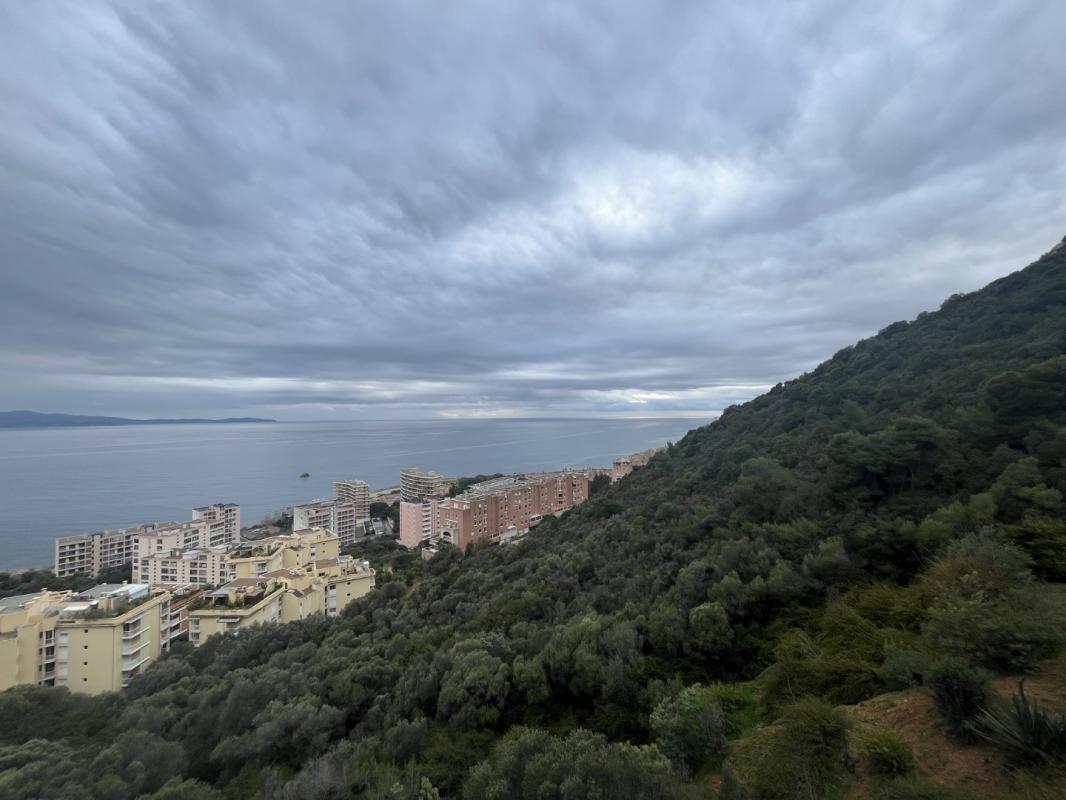 STUDIO RCE DES ILES LE CRETE I BT B SANGUINAIRES AJACCIO