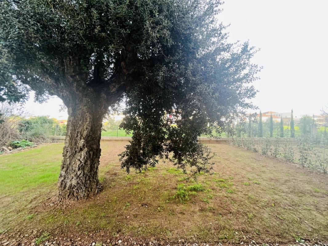 Location appartement à Penta di casinca