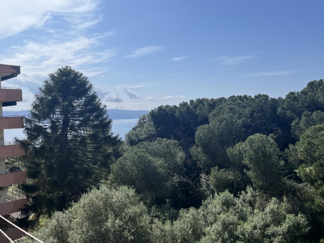 STUDIO IMMEUBLE LES OPONCES PARC BERTHAULT AJACCIO