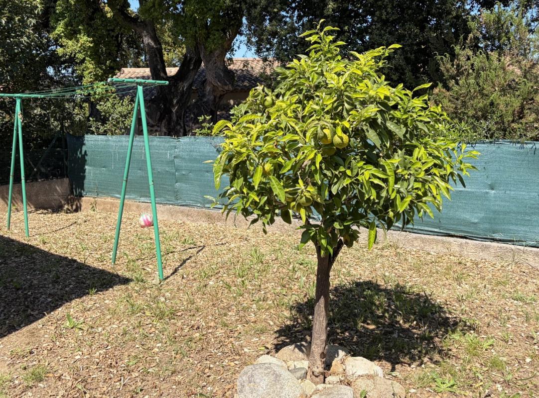 MAISON F3 RESIDENCE DU PRUNELLI II CAURO